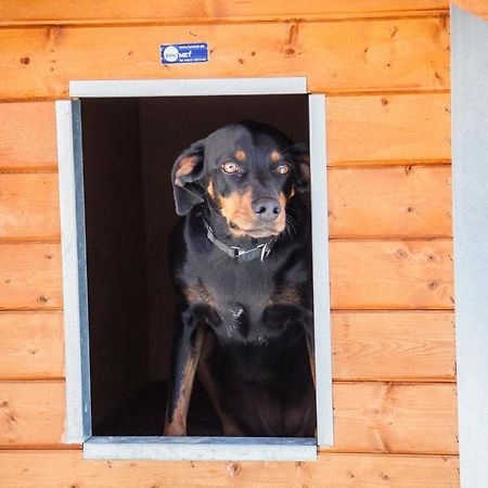 Ferienwohnung Bei Cooldog Imst Exterior foto