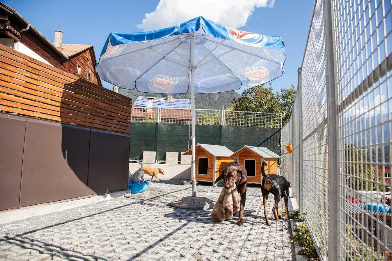 Ferienwohnung Bei Cooldog Imst Exterior foto