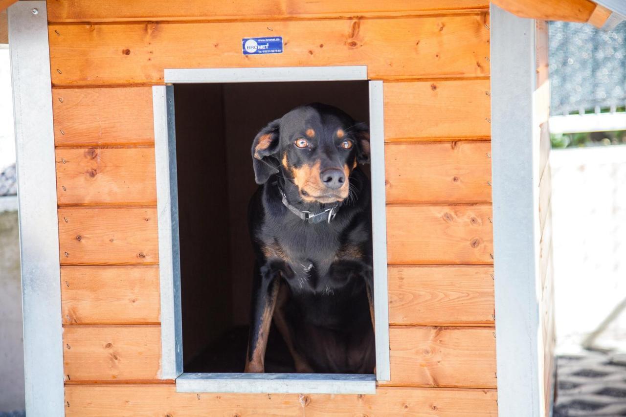 Ferienwohnung Bei Cooldog Imst Exterior foto